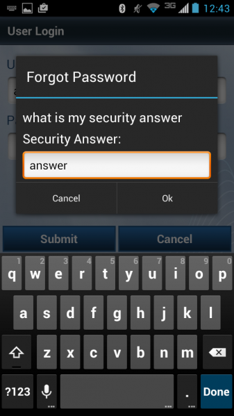 File:Security Question.png